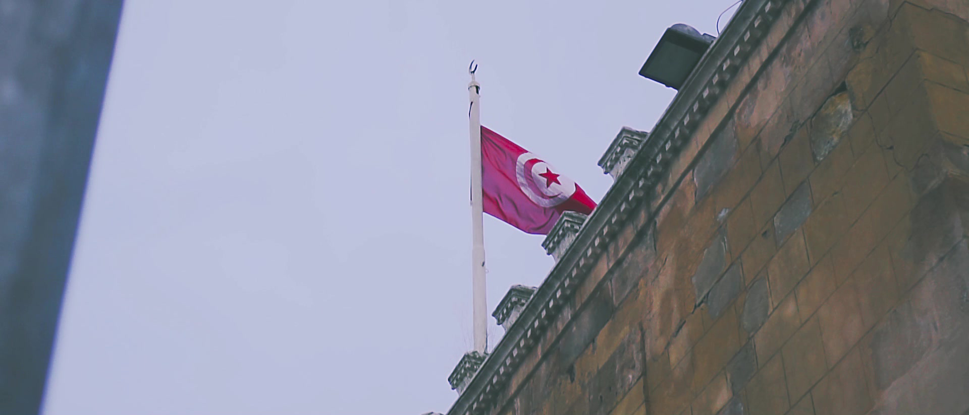Tunisia's flag